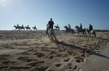 Aruba Private, 2 Hour Horseback Riding Tour For Advanced Riders