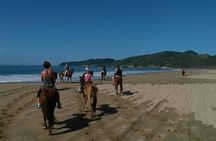 Horseback Riding on the Beach