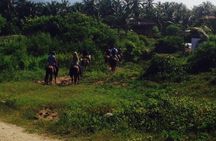 Horseback Riding on the Beach