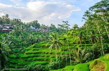 All-Inclusive Ubud Private Tour