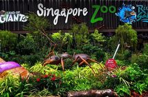 Singapore Zoo & River Wonder Day Ticket & Transfer 