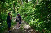 Let's do hiking in Punta Cana