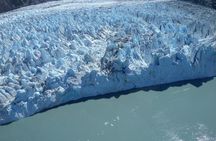 Glacier & Wildlife Discovery Tour