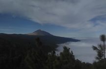 Volcano Teide National Park And North Of The Island VIP TOUR