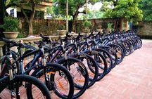 Discover Trang An Natural World Heritage, Bich Dong Pagoda, Cycling Day Tour