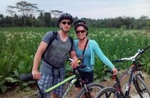 Temples and Village Tour