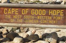 Private Tour: Cape of Good Hope Cape Point Penguins Kirstenbosch