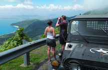Half-Day Son Tra Peninsula Tour by Jeep