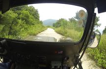 Half-Day Son Tra Peninsula Tour by Jeep