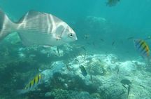 Ixtapa Island Tour