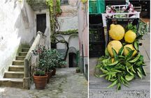 Private Tour: The Path of the Lemons