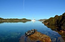 Two-Day Sailing to Beautiful Risoy from Tromso