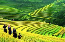 Sapa Tours 2D1N stay At 4 stars hotel nice Sleeping Bus TRANSFER 