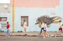 Urban Safari in Cape Town - Private Tour