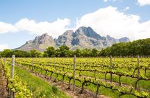 Urban Safari in Cape Town - Private Tour