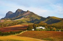 Wine Beer and Biltong Safari - Stellenbosch