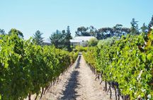 Wine, Beer & Biltong Safari - Private Tour