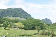 Scenic Sigatoka Valley Drive, Fijian Pottery Village, Local School & Sand Dunes