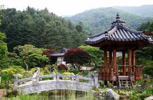 Nami Island, Cable Car, Garden of Morning Calm Panoramic Tour