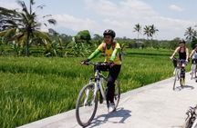 Bali Mountains and Villages Cycling Tour