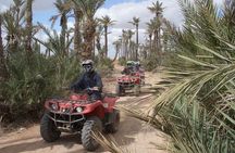 Quad Bike, Camel Ride, Lunch & Hammam Tour
