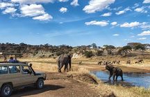 4 Day Private Camping Safari in Serengeti,Ngorongoro and Tarangire National Park