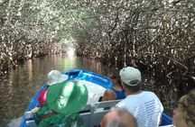 Full-Day San Blas Tour from Puerto Vallarta
