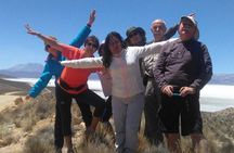 Salinas Salt Lagoon Private tour - Day Trip from Arequipa