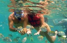 Full-Day Snorkeling Tour to Utopia Island from Luxor