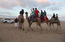 Wow Arabian Nights Tours Desert Safari Program with BBQ Dinner