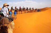Private Marrakech To Fes Desert Tour 3 Days With Luxury Accommodations