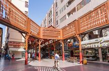 Dubai City Tour Private Basis - See New and Old Dubai