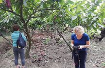 Shuttle from Cuenca to Guayaquil or from Guayaquil to Cuenca