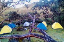 Camping Tour Cajas National Park from Cuenca