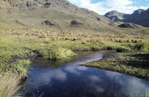 Camping Tour Cajas National Park from Cuenca