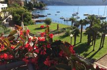 Truffle Istria Private Guided Day Trip from Zagreb