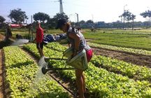 Da Nang Home Cooking Class
