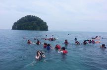 Full Day Tour in Mantanani