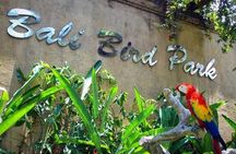  Private Tour Bali Bird Park And Ubud Tour