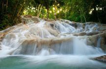 Day Trip to Dunn's River Falls from Montego Bay