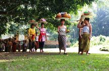 Ubud Highlights Tour ( Private All-Inclusive )