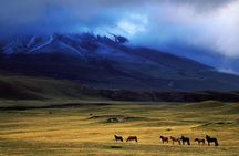 Cotopaxi Volcano: Biking Small Group Full Day Tour