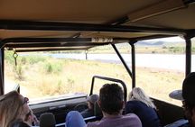 3 Hour Pilanesberg Afternoon Open Vehicle safari drive (Self drive)