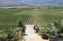 Winery & Valparaiso Private Tour - day trip from Santiago