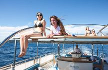 Kotor Cruise: Perast, Our Lady of The Rocks, Mamula, Blue Cave, Porto Montenegro