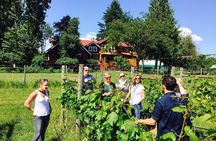 Victoria Wine Tour with Wine Tastings and Charcuterie