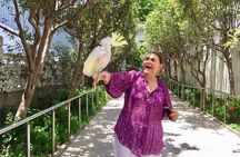 Small-Group Tour: Local Markets Hopper and Foodie in Hong Kong