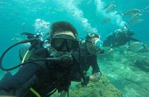 Scuba Diving from Bodrum