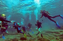 Scuba Diving from Bodrum