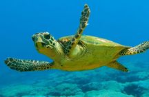 Scuba Diving from Dalyan